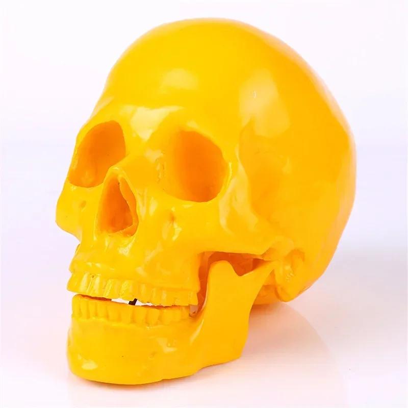 Resin Craft Skull Statues for Decoration Creative Skull Model Sculpture Home Decoration Halloween Party Decor Horror Props
