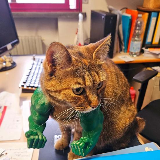 Cat Muscle Arm 3D Printed Neck Arm with Muscle Pet