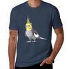 Cheeky Cockatiel Tshirt Regular Fit Plain Tee Shirt