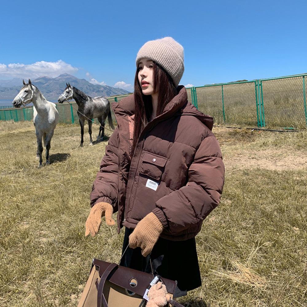 Short slim 2025 new winter stand-up collar hooded down cotton jacket thickened warm solid color bread jacket