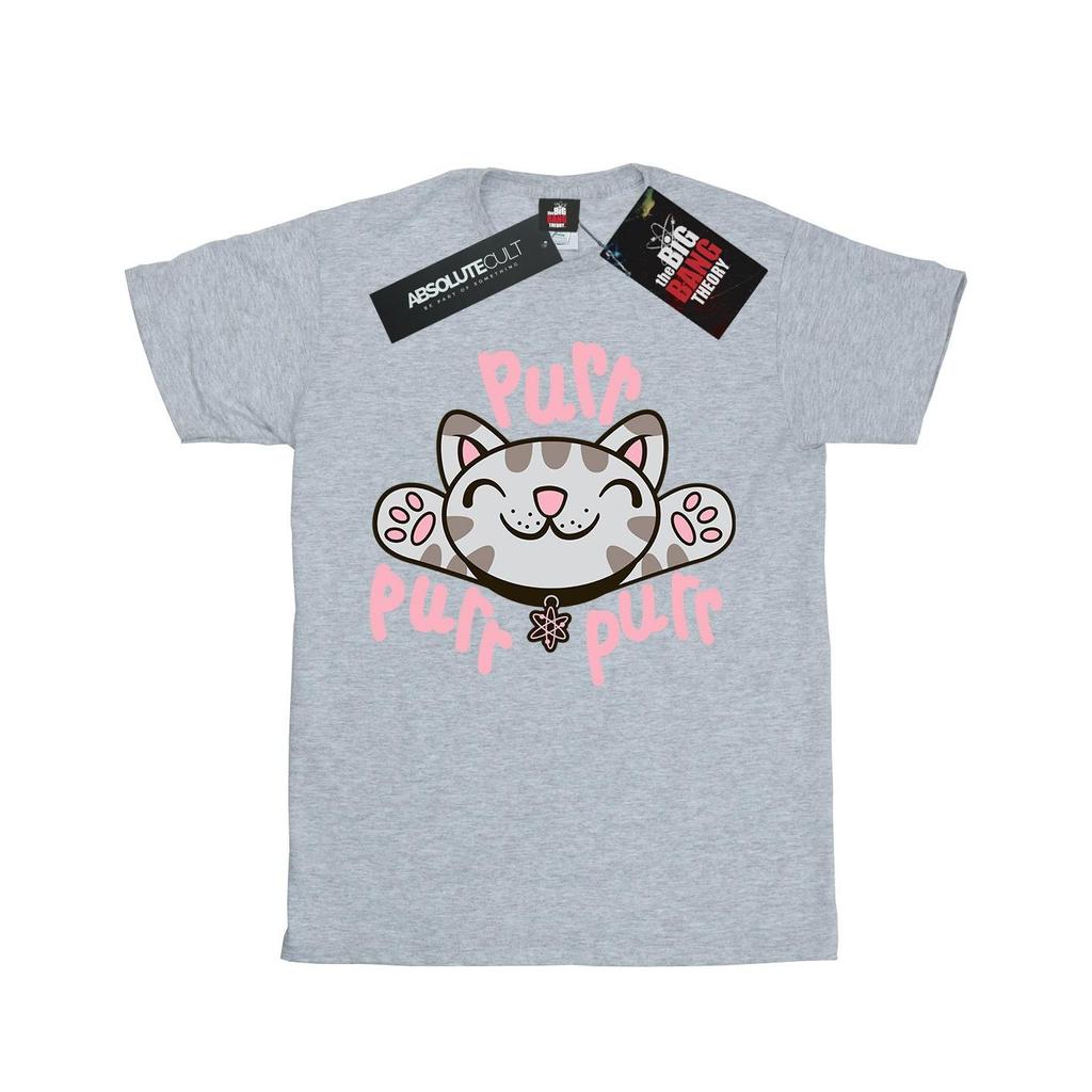 Big Bang Theory Boys Soft Kitty Purr T-Shirt
