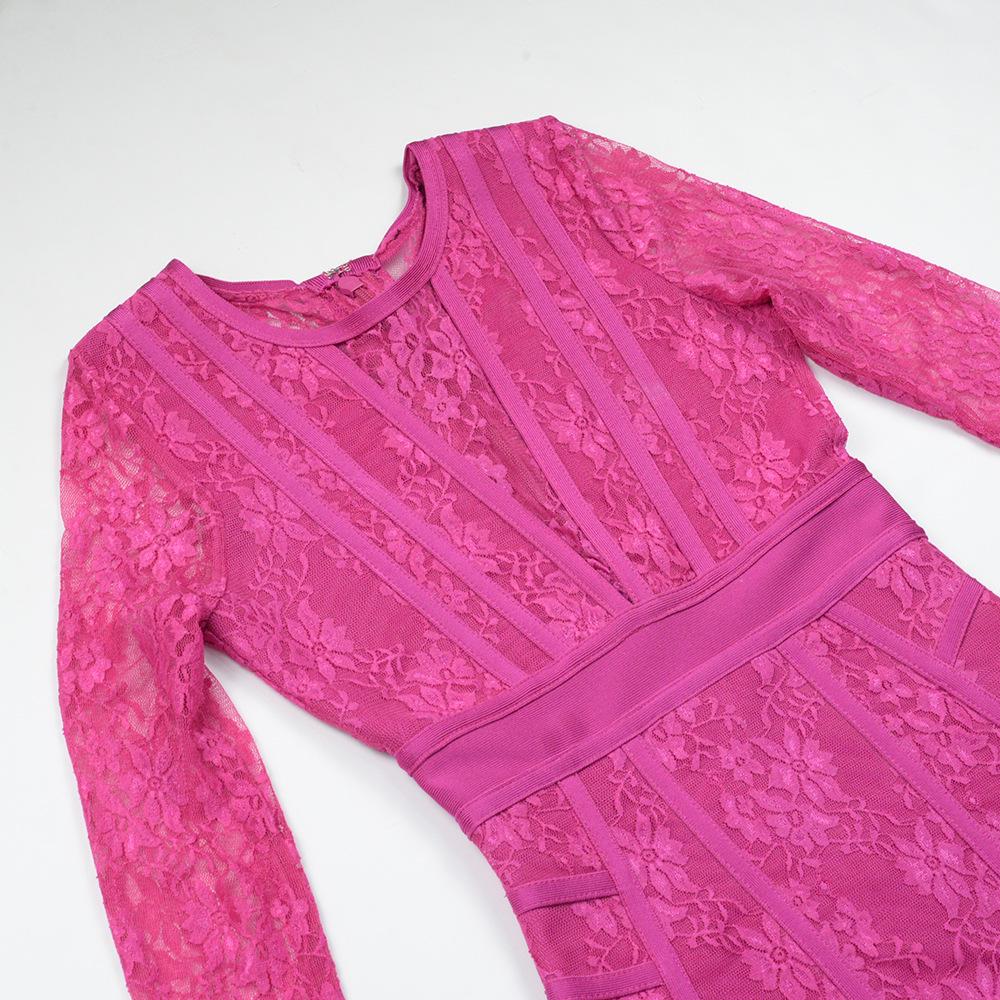 Elegant Rose Red Mesh Lace Bodycon Dress