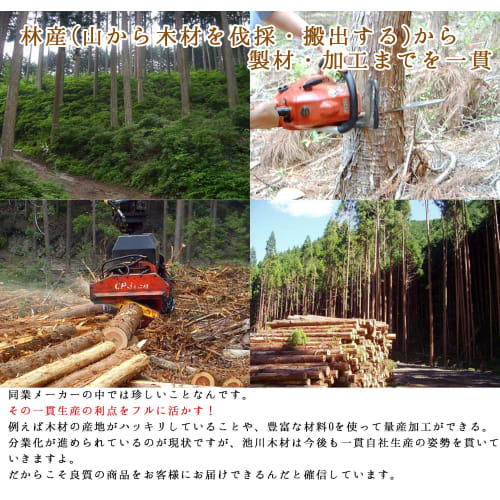 Ikegawa Wood Turner, Hinoki Wood, Stir-frying, Made in Japan, Natural, Approx. 24cm