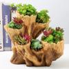 Large Faux Wood Multi-Mouth Succulent Pot Tree Root Design