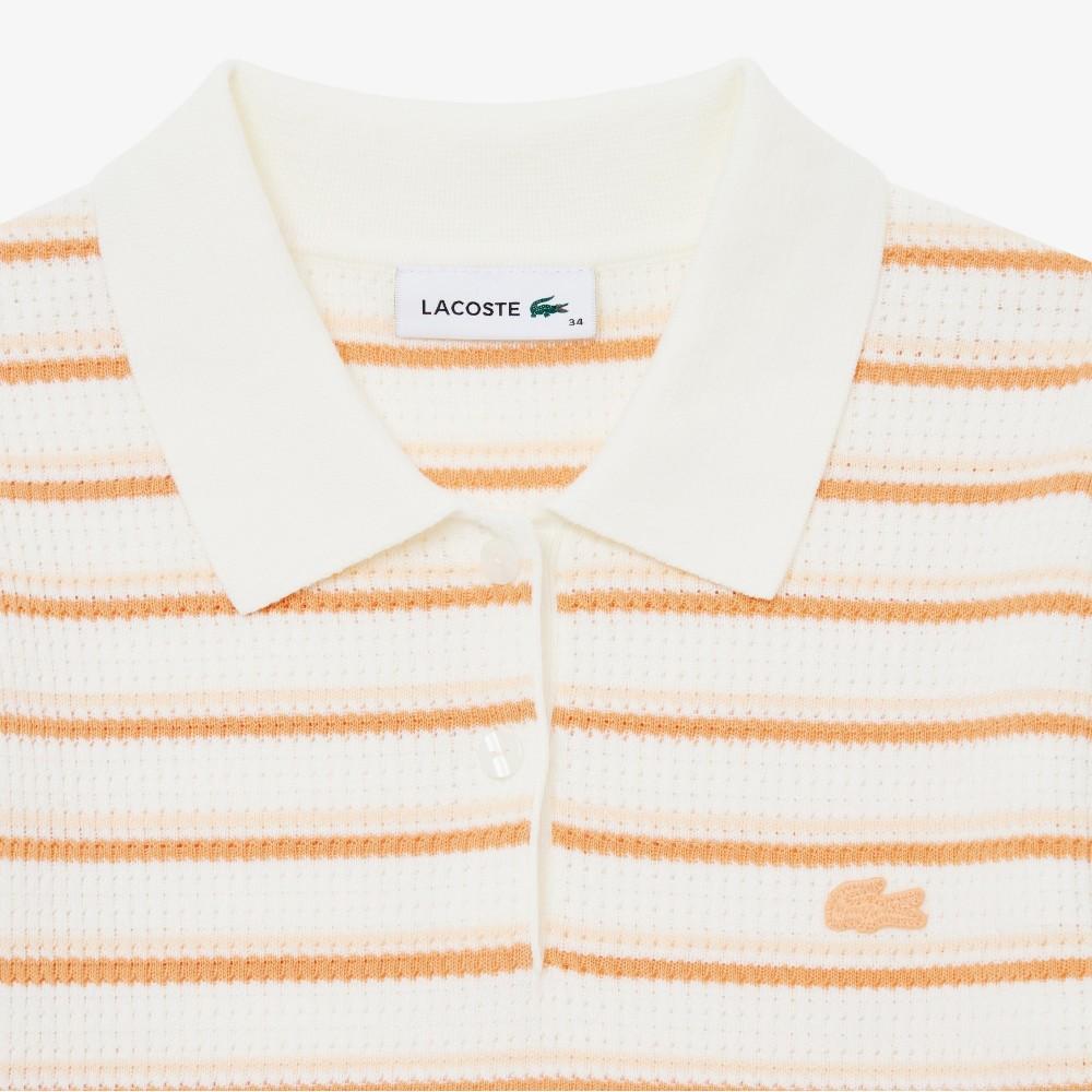Lacoste Women's Striped Sweater Polo Shirt PF710E-56GIY0