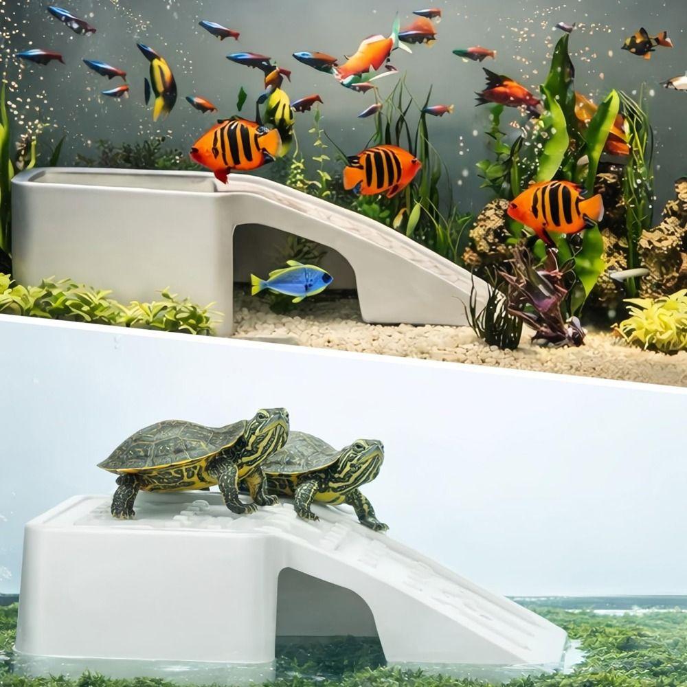 Transparent Aquarium Kit Compact Desktop Aquarium Multifunctional Ecological Cycle System  Desktop