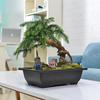 Bonsai Pot Imitation Purple Clay Flowerpot Plastic Plantpot Landscape Succulent Pot Garden Planter Gardening Macetas Para Planta