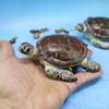 Turtle Simulated Sea Model Tabletop Figurine Micro Landscape Garden Decoration