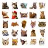 50 Realistic Kitten Stickers Cute Cat Cute Expression Creative Decoration Water Cup Notebook Hand Account Stickers