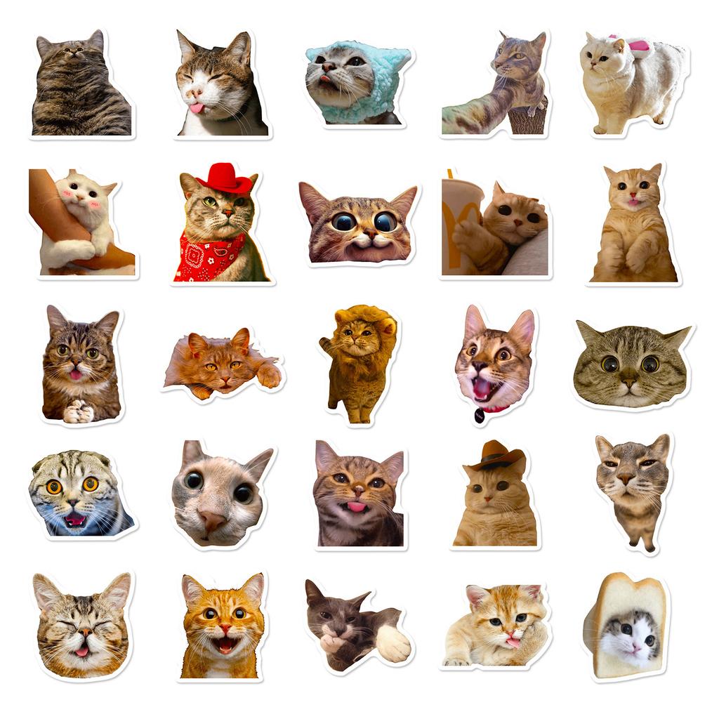 50 Realistic Kitten Stickers Cute Cat Cute Expression Creative Decoration Water Cup Notebook Hand Account Stickers
