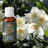 Exotic Aromas Jasmine Essential Oil (15Ml + 15Ml) Pack of 2