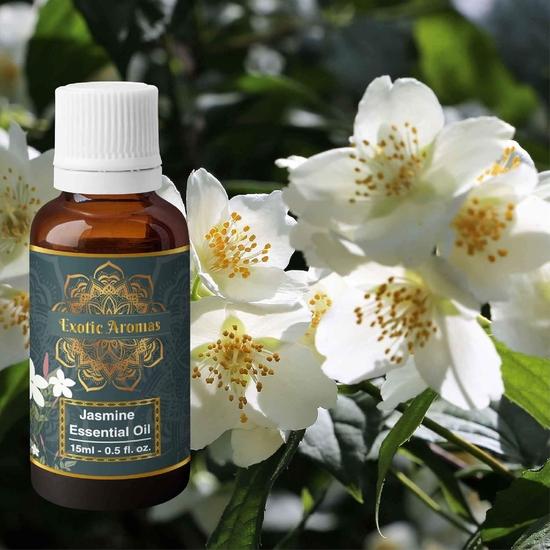 Exotic Aromas Jasmine Essential Oil (15Ml + 15Ml) Pack of 2
