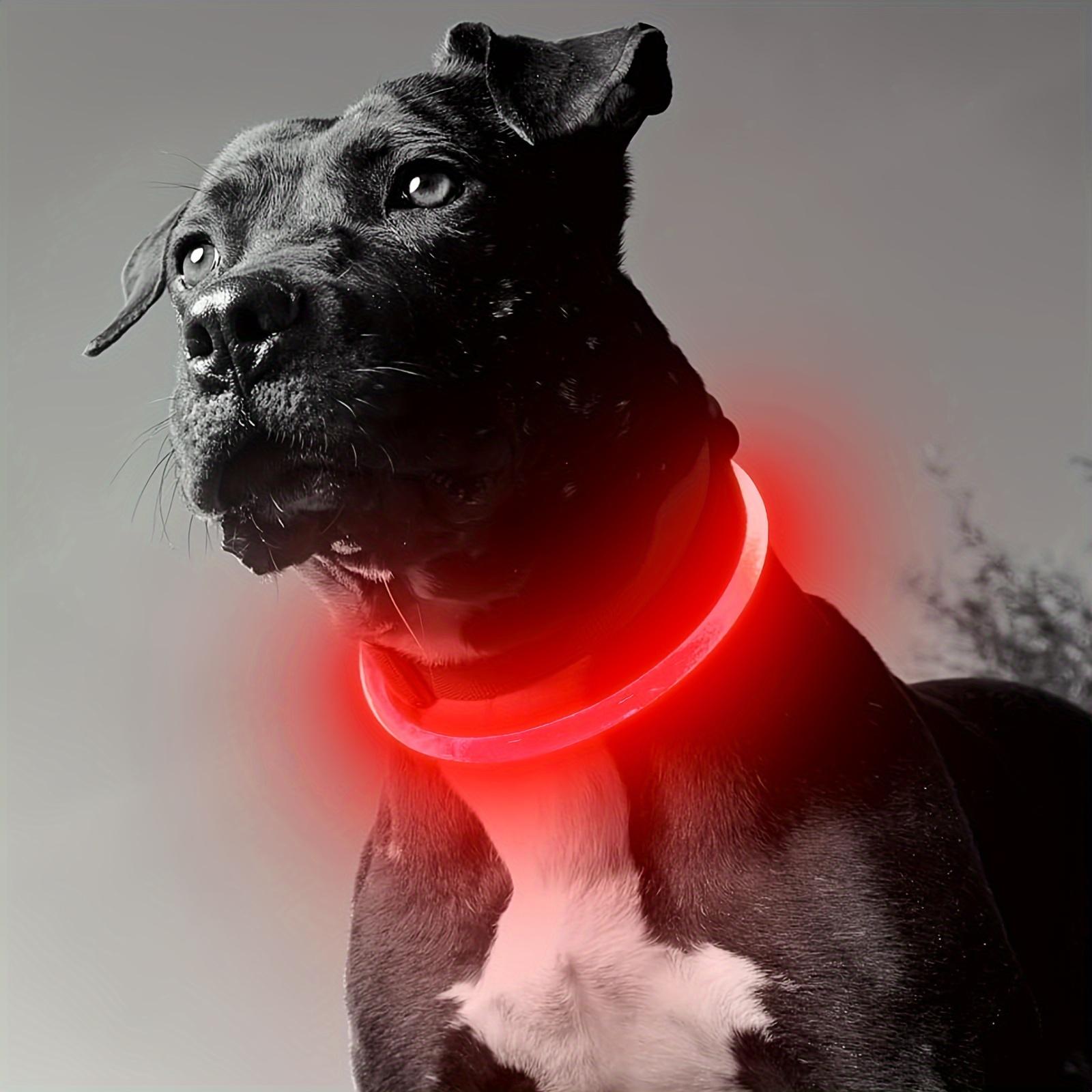

1PCS Pet Dog LED Light Collar Luminous Anti-Lost Dog Collar USB Rechargeable Dog Necklace Collar Shiny ,Collar Dog Accessory M-50cm червоний