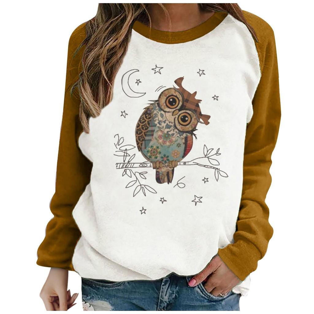 Women's Casual  Solid Color Long Sleeve Top Pullover Sweatshir