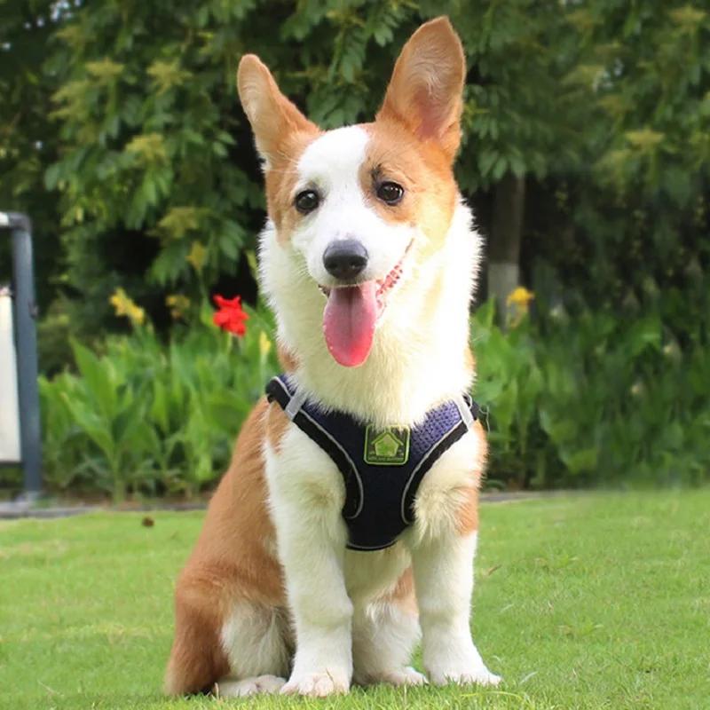 Reflective Pet Leash Harness & Leash Set For Puppy & Kitten, No Pull Dog Vest Harness With Breathable Mesh