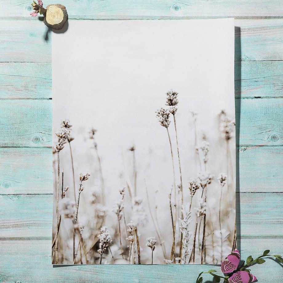 Landscape Poster Farm Grassland Cattle Road Sign Sea Wave Reed Wall Art Print Canvas Painting Wall Pictures Living Room Decor