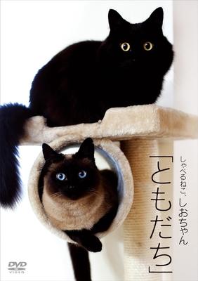 DVD DVD - Talking Cat, Shio-chan "Friend"  COBM6324 Japan Movies & DVD Used