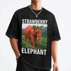Erdbeer Elefant Italienisches Gehirnfäule Meme T-Shirt Gewaschenes Baumwoll-T-Shirt Vintage für Männer Frauen Streetwear Bedrucktes T-Shirt