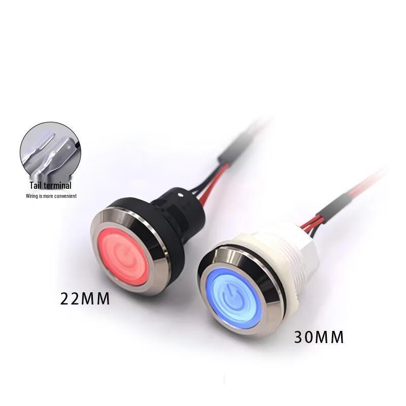 

22mm Waterproof Push Button Ignition Switch