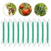10Pcs Galvanized Steel Tomato Plant Hook With 10 Clip And 10Meter Rope For Vine Support Garden Climbing Accessories
