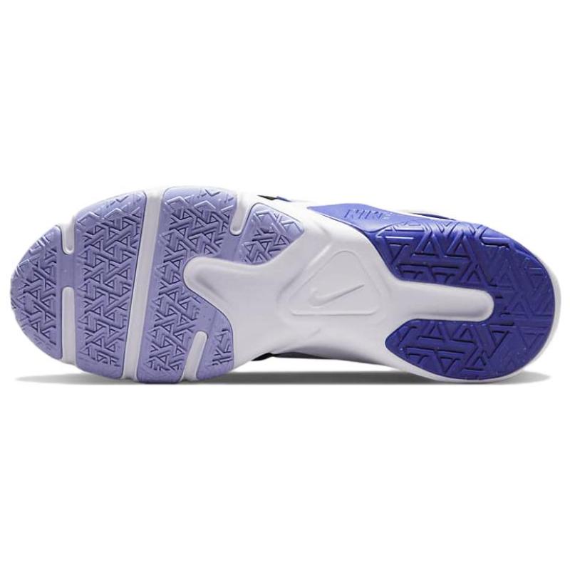 Nike Legend Essential 2 'Black Lapis Light Thistle' Women's Training Soccer Shoes CQ9545-009