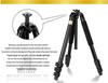 Lightweight Era Q620 DSLR Tripod with Ball Head for Photography & Video