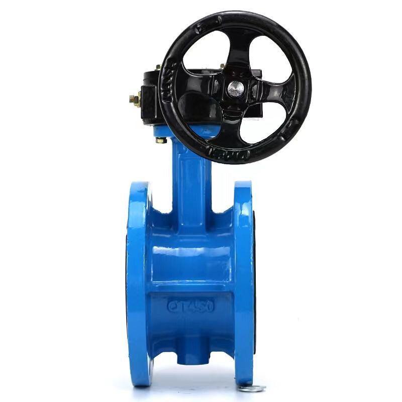 DN50 Cast Iron Soft Seal Flanged Butterfly Valve with Turbine Worm Gear