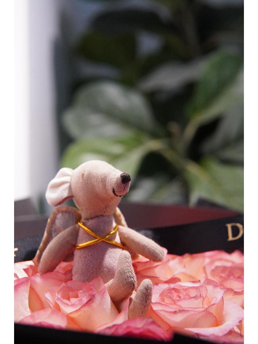 

Плюшева подушка Маленький Жираф: Дитяча заспокійлива іграшка та лялька з м якої бавовни Toy