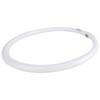 Philips T5 Circular Fluorescent Lamp