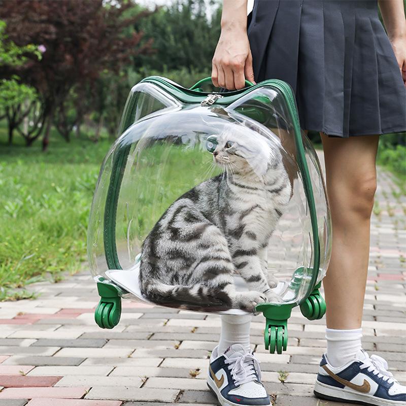Fully Transparent Space Capsule Pet Rolling Luggage Breathable Portable Travel Bag For Cats Small Dogs