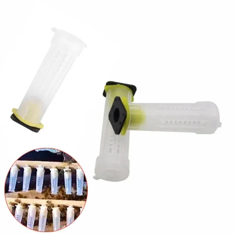 20PCS Queen Cage Rearing Cover Catcher Queen Plastic Cells Bees Box Cages Bees Tool Apiculture Equipment Protection