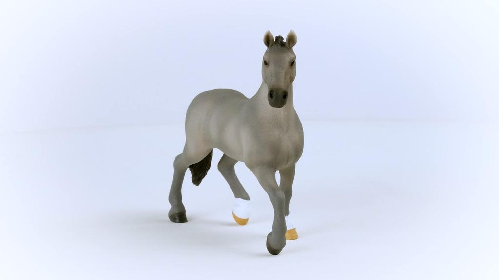 Schleich Horse Club 13956 Self-Français (Male)