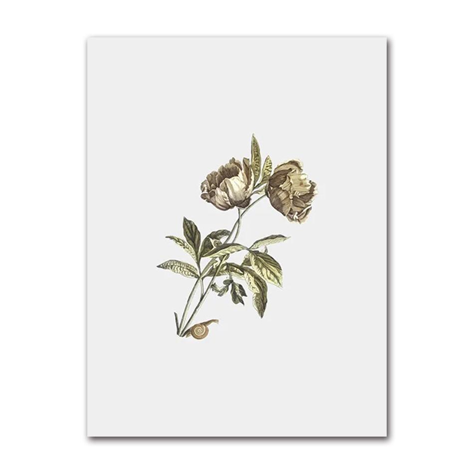 Vintage Wildpflanzen Poster Botanische Blumendrucke Leinwandmalerei Moderne Wandkunst Bilder für Wohnzimmer Dekoration