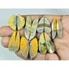 118Cts. Natural Bumble Bee Jasper Pair Fancy Cabochon Gemstone 07 Pair Lot C-132
