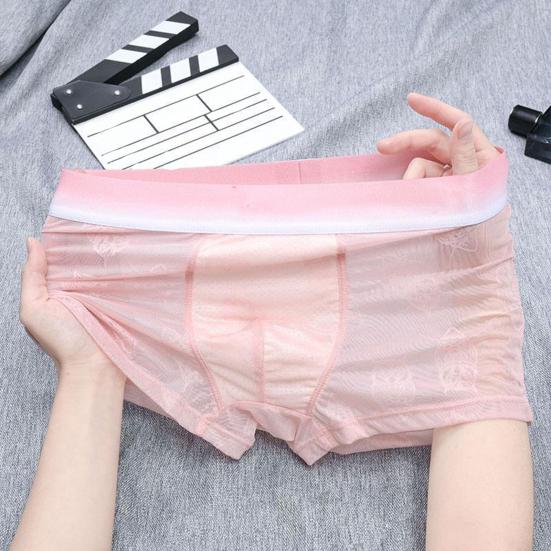Pánské boxerky prodyšné sexy jemné síťované spodní prádlo s bavlněným klínem pružné tenké pánské spodní prádlo pro každodenní nošení