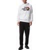 The North Face Sweatshirts Men's White Hooded Moderate Other NF0A7QCK-FN4