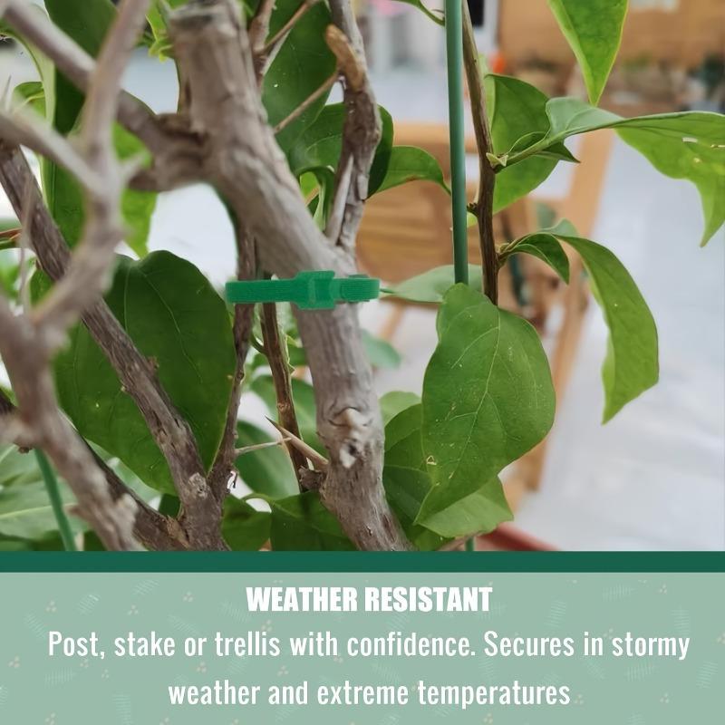 100pcs Reusable Heavy-Duty Nylon Plant Ties Garden Straps with Hook & Loop Fasteners, Weatherproof Non-Slip Grips for Climbing Vines, Greenhouse