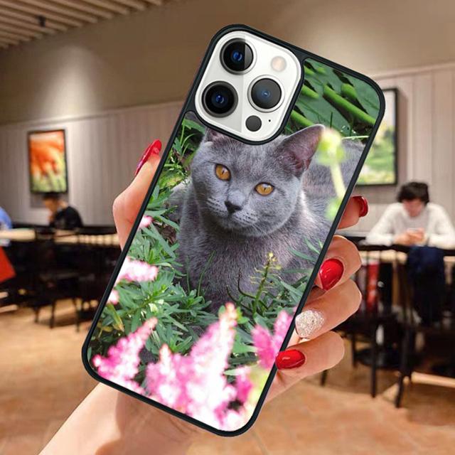 Beautiful Grey British Shorthair Cat Phone Case For iPhone 17 Air 13 12 14 15 16 Cover For Apple Pro Max Plus
