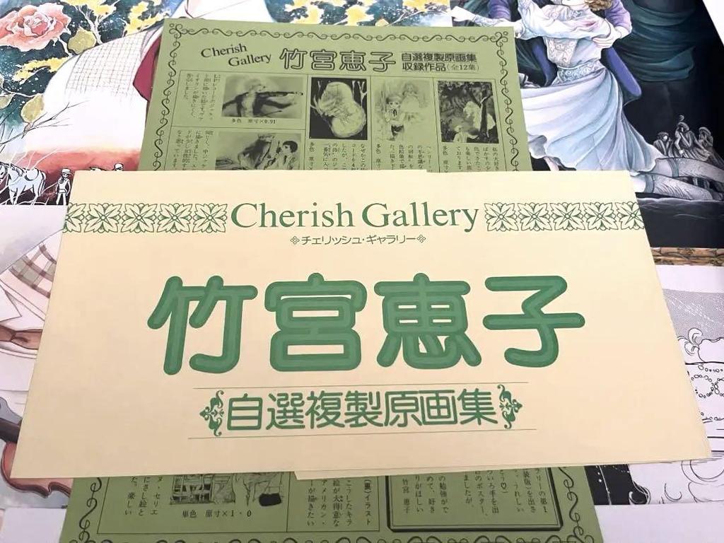 [USED] Rare Item from the Time of Publication: Hakusensha's Shojo Manga, Keiko Takemiya's Self-selected Reproduction Art Collection