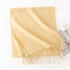 New Solid Color Maillard Imitation Cashmere Scarf for Women Autumn and Winter High End Warm Shawl Simple Scarf