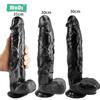 Realistic Dildo Cock for Women Anal Toys Huge Big Fake Penis With Suction Cup Sex Toys