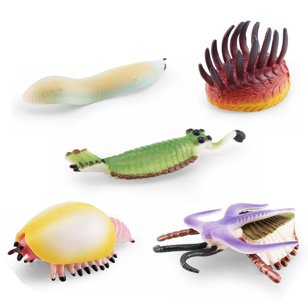 Realistic Ancient Marine Creature Model Collection Featuring Cambrian Anomalocaridids And More