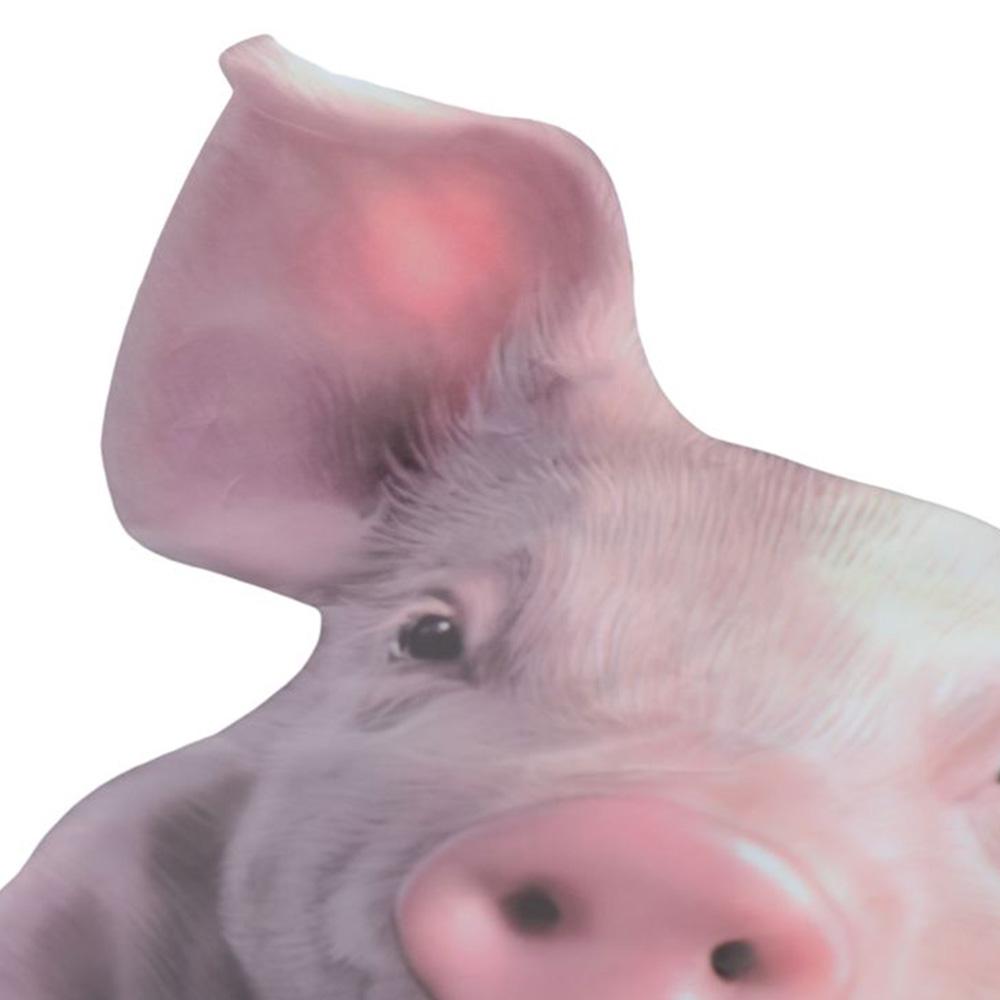 3 Stück Schweineform 3D Haustier Schwein Aufkleber PVC Lustiger Tierstil Autoaufkleber für Auto, Home Glasdekorationen