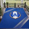 Soft Floor Carpet Sheffield Wednesday Pattern Area Rug Decorative Mat For Home Room Decoration