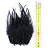 50Pcs Natural Black Goose Ostrich Feathers For Jewelry Earrings Making Diy Dream Catcher Decoration Crafts Plume Accessories