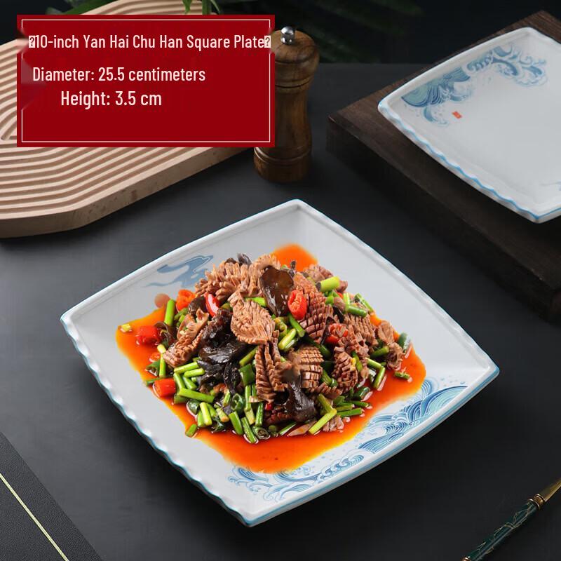 

Elegant Irregular Ceramic Dinner Plate