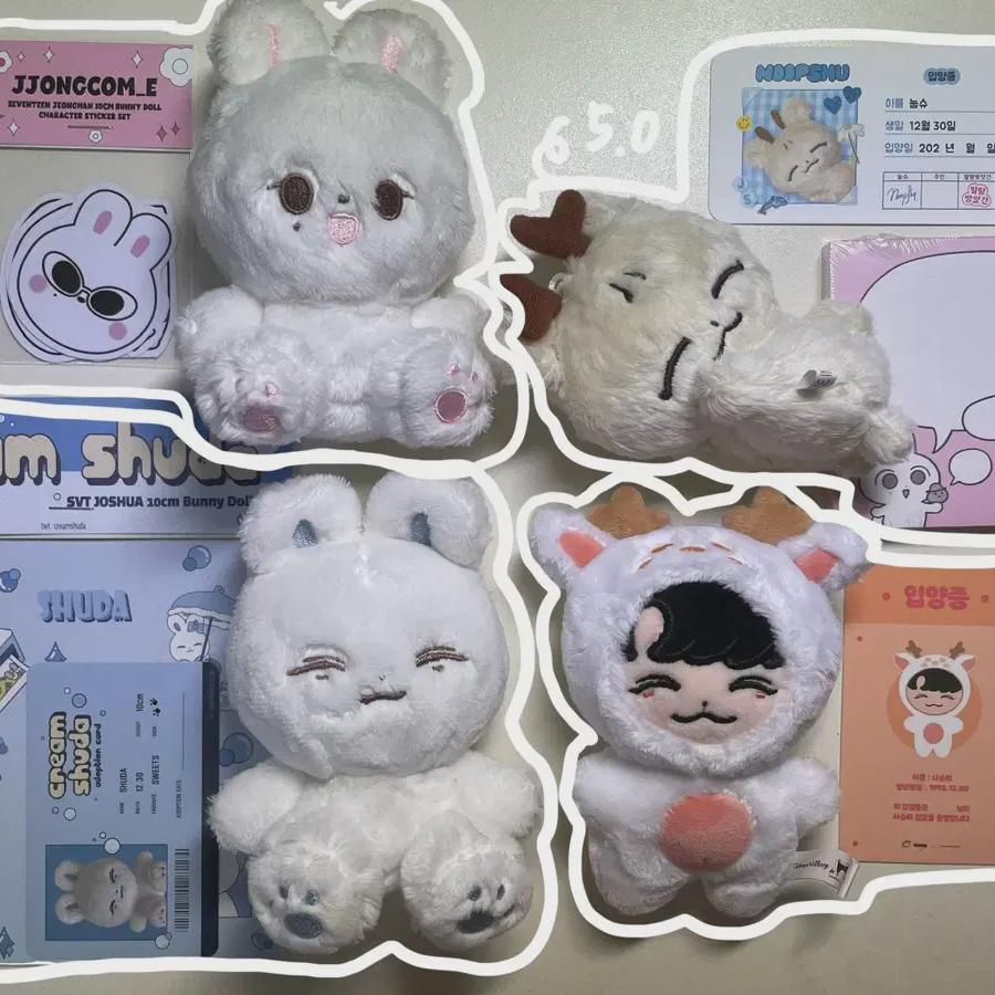 

Семнадцать Джошуа Кнупш