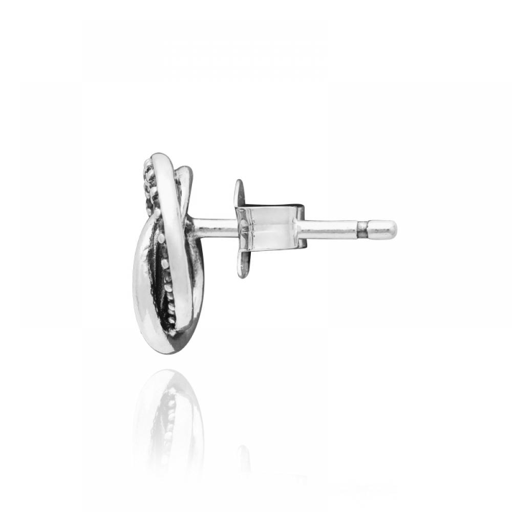Boucles d'oreilles Pandora 291076c01 Moment Family Always Incircled Argent