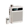 Wireless Microphone Amplifier Built in Professional Chip Clear Voice No Distortion Re able Portable Voice Amplifier   Mic for Teachers   G
