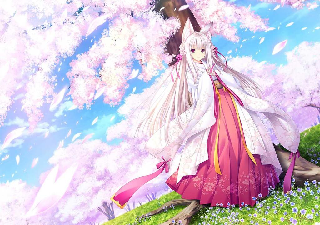 Ruri Sakura Regular version